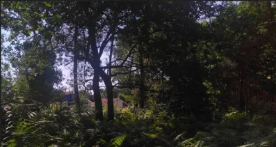 Image du modèle de maison Capture d’écran 2026-06-22 115104