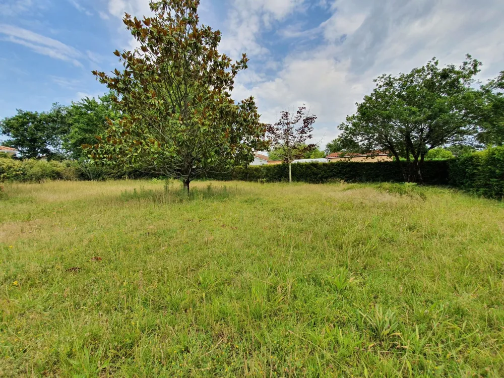 Image du terrain Terrain à bâtir de 515 m² à BRACH (33)
