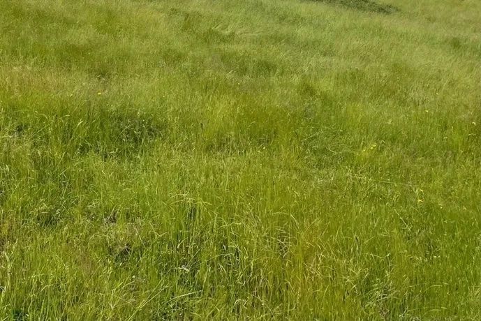 Image du terrain Terrain à bâtir de 305 m2 au prix de 16500 € à CHIRE-EN-MONTREUIL (86)