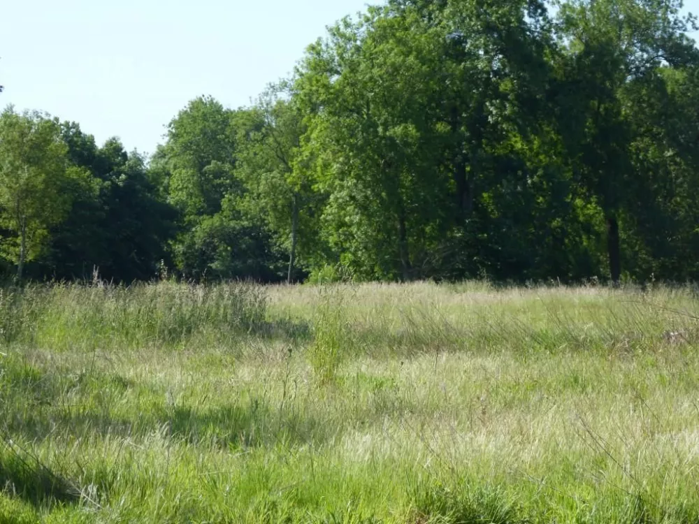 Image du terrain Terrain à bâtir de 500 m2 au prix de 23500 € à CHIRE-EN-MONTREUIL (86)