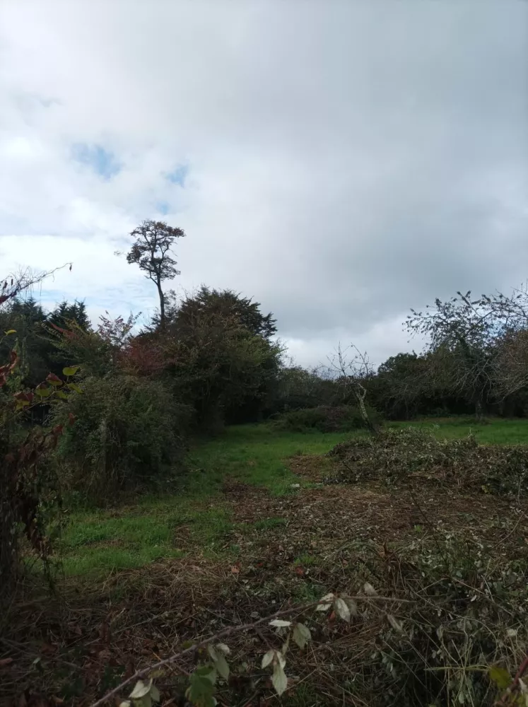 Image du terrain Terrain à bâtir de 1100 m2 au prix de 25000 € à DIGNAC (16)