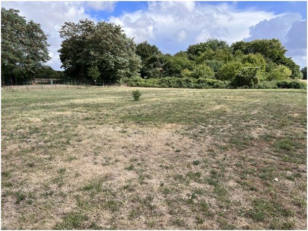 Image du terrain Terrain à bâtir de 13500 m2 au prix de 12200 € à SAINT-MARTIN-DU-CLOCHER (16)