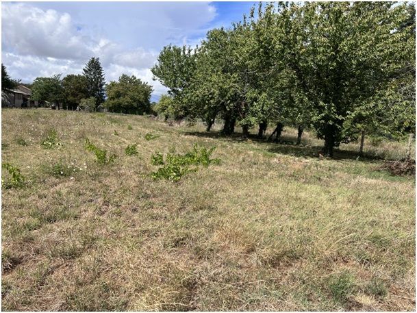 Image du modèle de maison Terrain - M VIGIER - LOMBONNIERE (4)