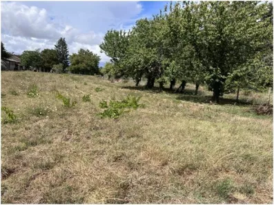 Image du modèle de maison Terrain - M VIGIER - LOMBONNIERE (4)