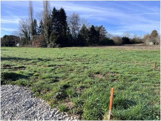 Image du terrain Terrain à bâtir de 541 m2 au prix de 31378 € à AGRIS (16)