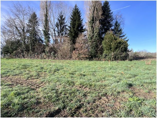 Image du modèle de maison IMG_4279