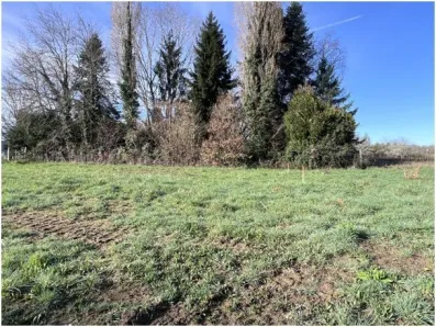 Image du modèle de maison IMG_4279