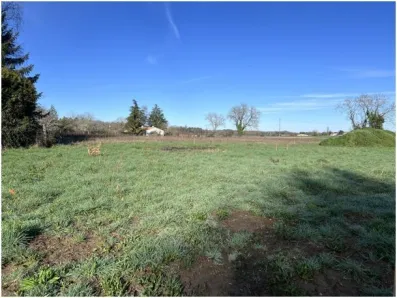 Image du modèle de maison IMG_4278