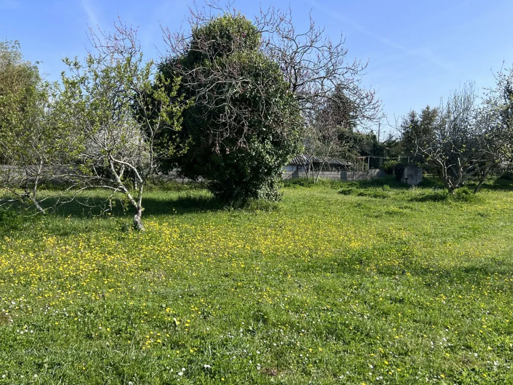 Image du modèle de maison IMG_4482