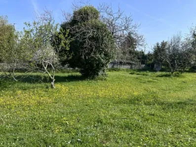 Image du modèle de maison IMG_4482