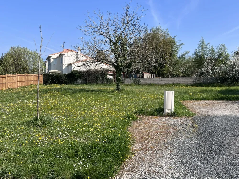 Image du modèle de maison IMG_4479