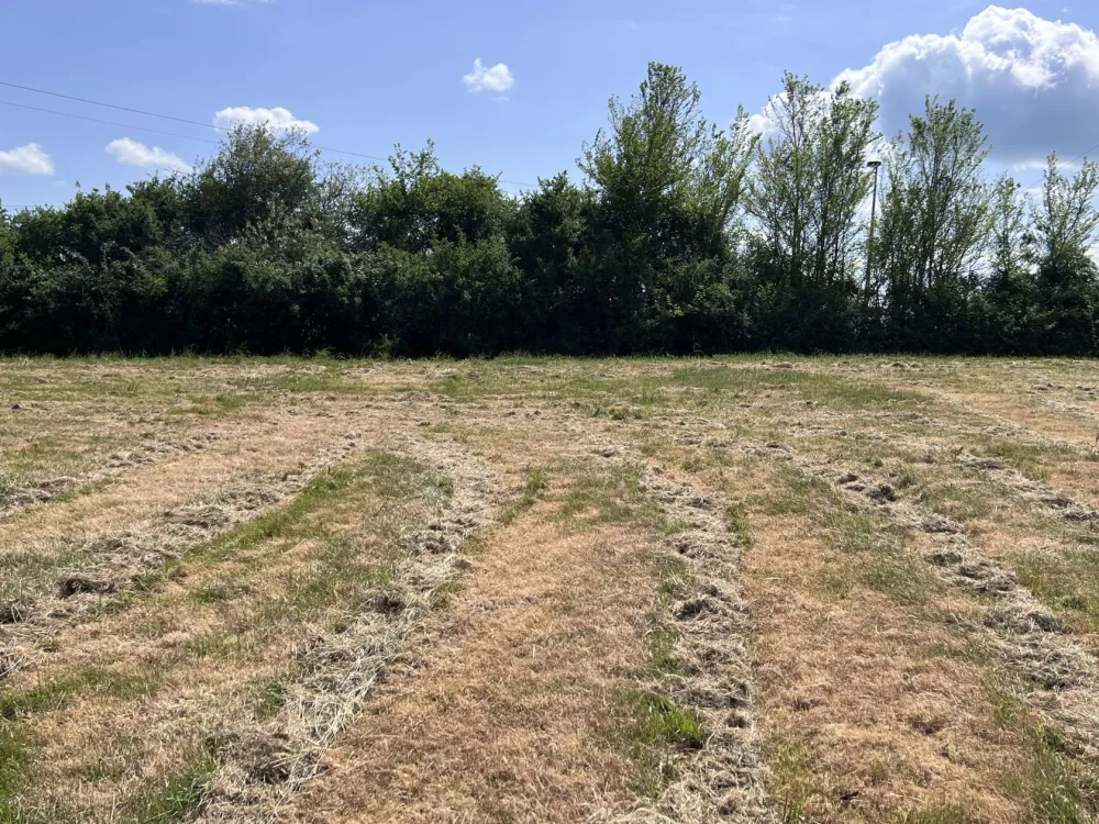 Image du terrain Terrain à bâtir de 1320 m2 au prix de 19830 € à SAINT-GERMAIN-DE-MONTBRON (16)