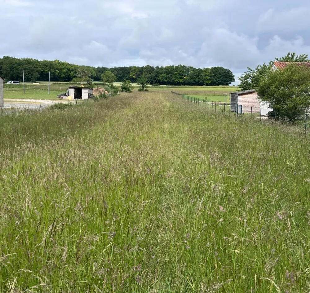 Image du terrain Terrain à bâtir de 2200 m2 au prix de 30000 € à JAULDES (16)
