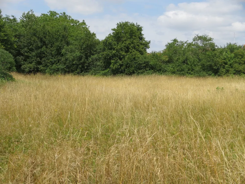 Image du terrain Terrain à bâtir de 2018 m2 au prix de 20000 € à MANSLE (16)