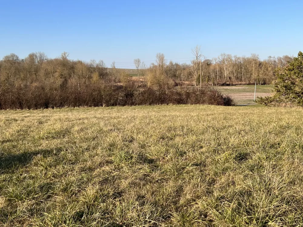 Image du terrain Terrain à bâtir de 2270 m2 au prix de 23000 € à GENAC (16)