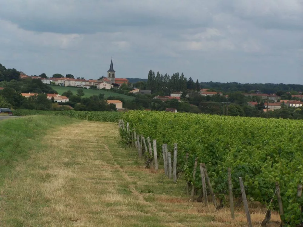 Image du modèle de maison TERRAIN VIGNE