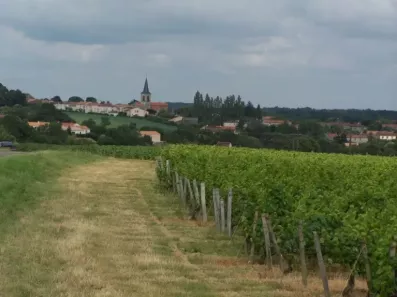 Image du modèle de maison TERRAIN VIGNE