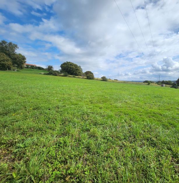 Image du modèle de maison Capture d'écran 2025-09-18 154241