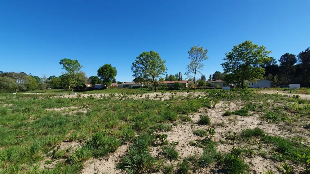 Image du modèle de maison 20240419_165619