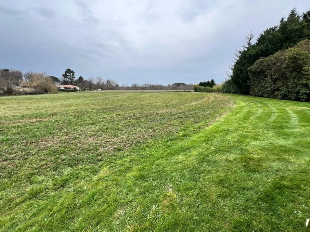 Image du modèle de maison IMG_9248