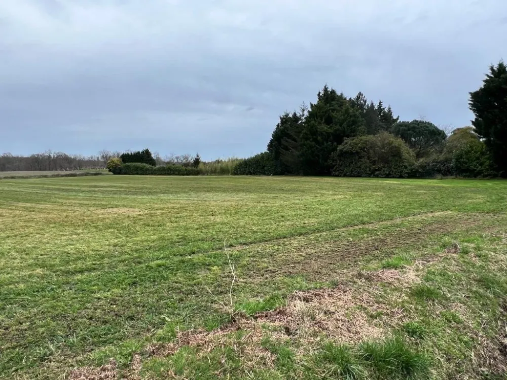 Image du modèle de maison IMG_9251