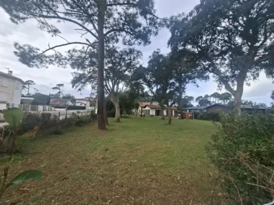 Image du modèle de maison 20260204_150040