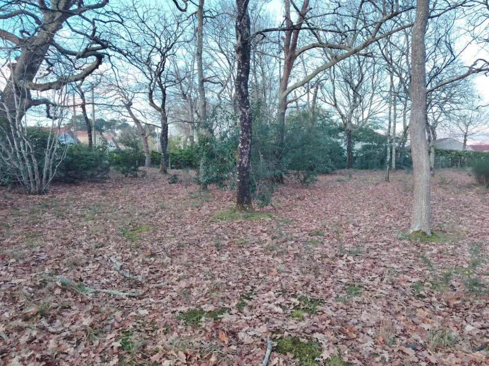 Image du modèle de maison IMG-20260204-WA0005