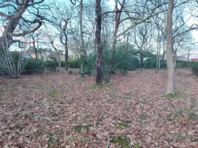 Image du modèle de maison IMG-20260204-WA0005