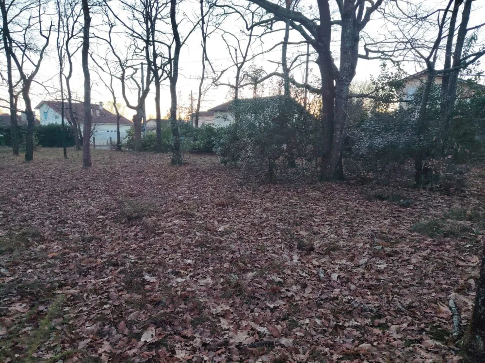 Image du terrain Terrain à bâtir de 556 m² à MONT-DE-MARSAN (40)