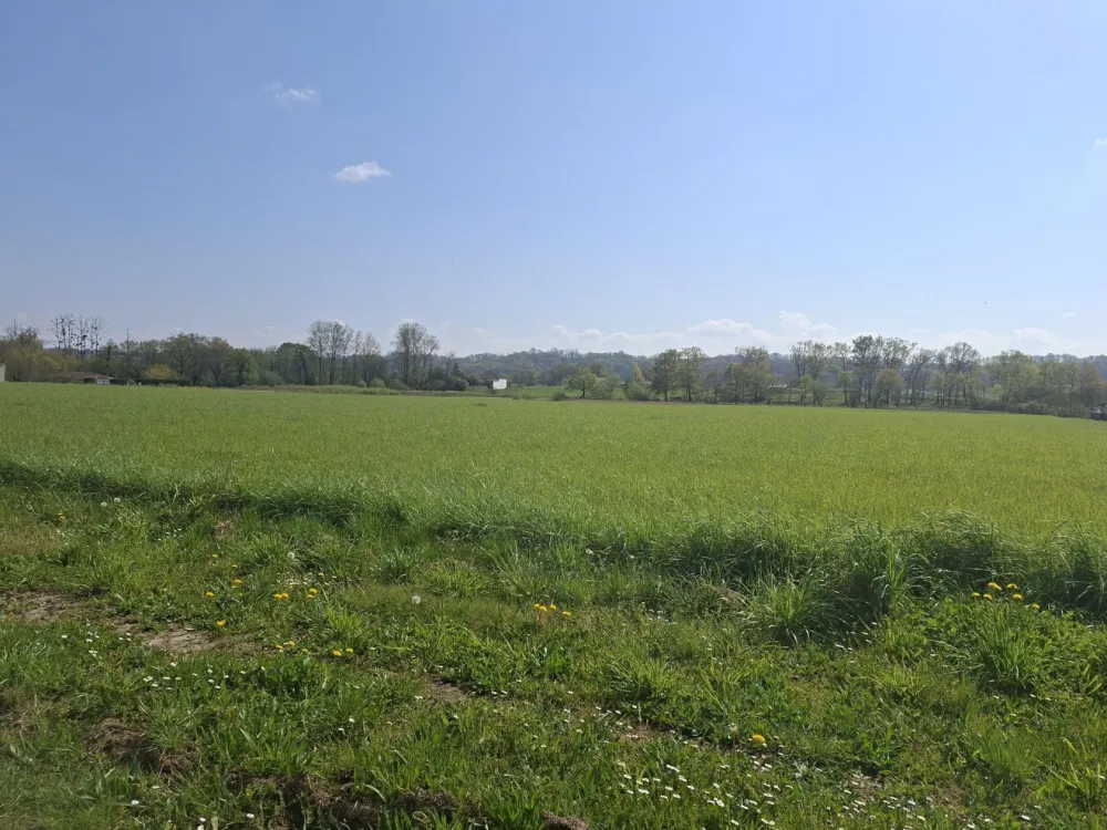 Image du terrain Terrain à bâtir de 1400 m² à TOULOUZETTE (40)
