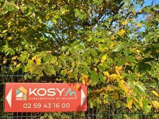 Image du modèle de maison panneau kosy m 2