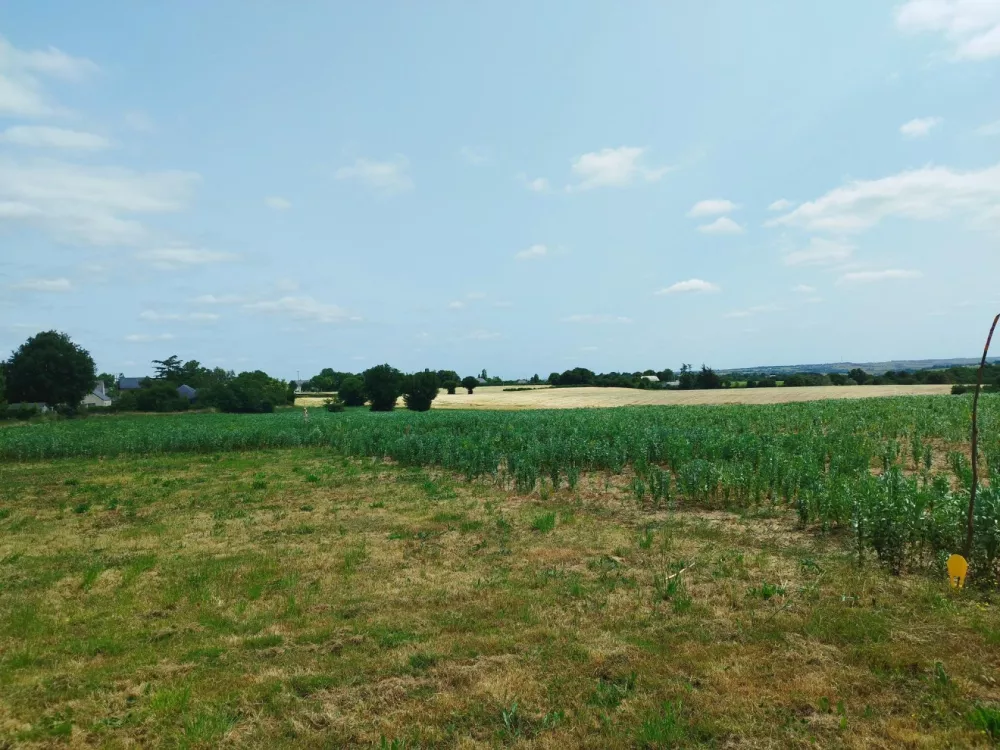 Image du modèle de maison chalonnes vue