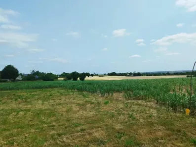 Image du modèle de maison chalonnes vue