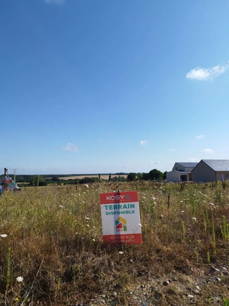 Image du terrain Terrain à bâtir de 359 m² à BEAULIEU-SUR-LAYON (49)