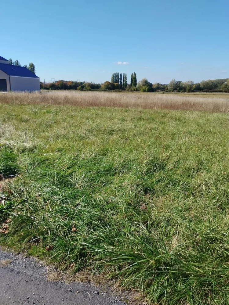 Image du modèle de maison photo terrain louresse