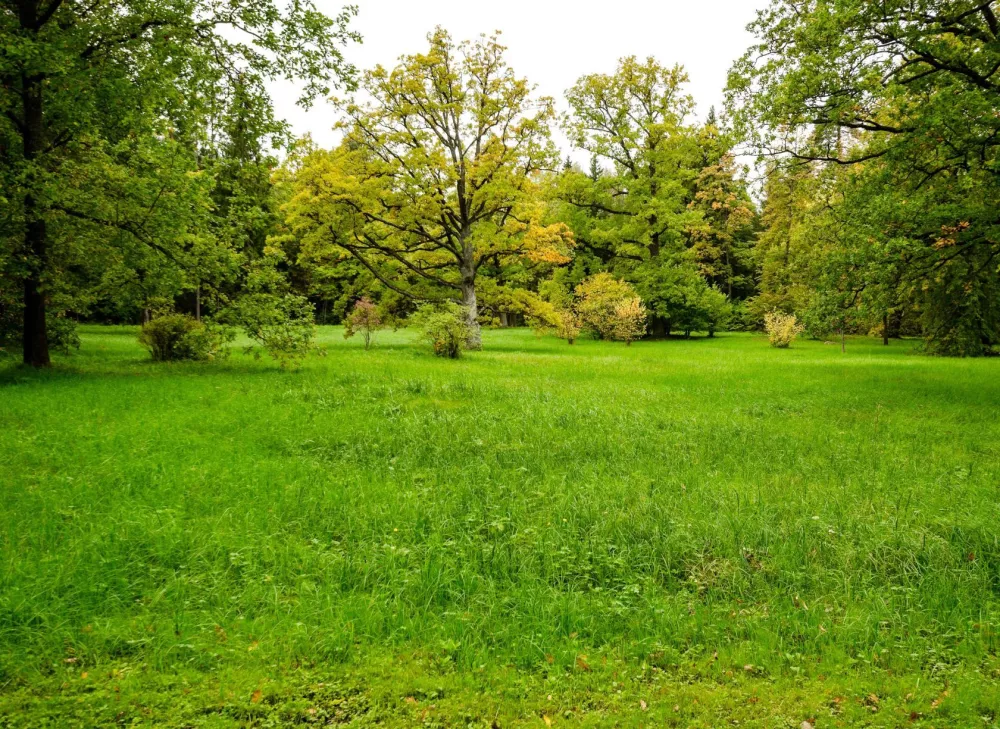 Image du modèle de maison 1063479728 BOISS