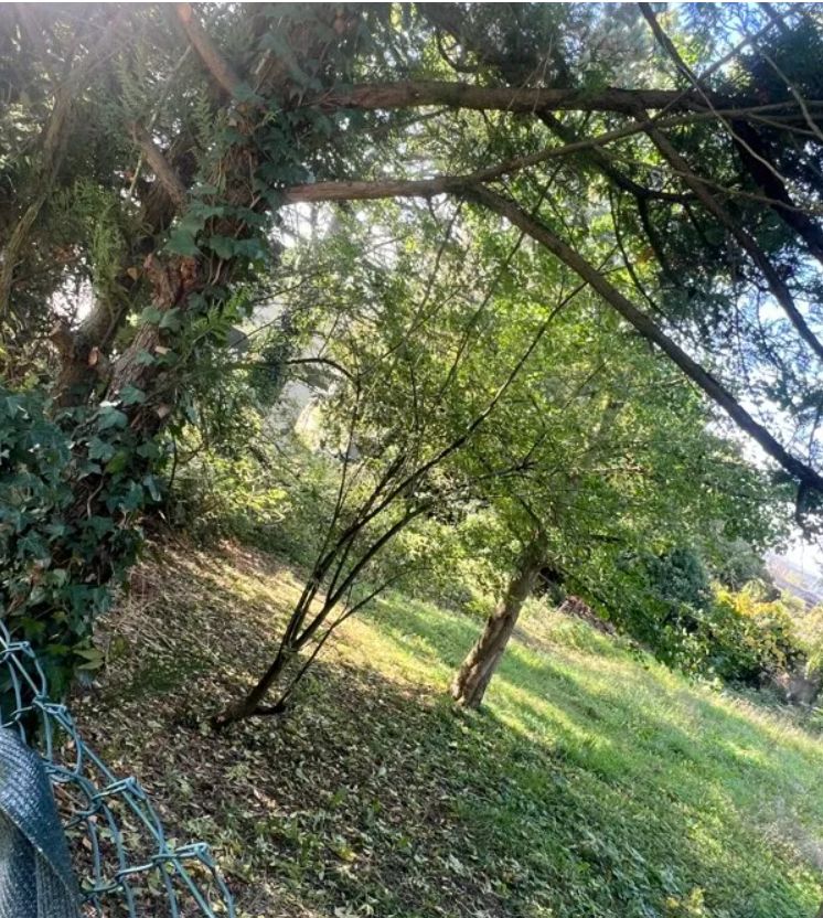 Image du modèle de maison Villevaudé 302m² 