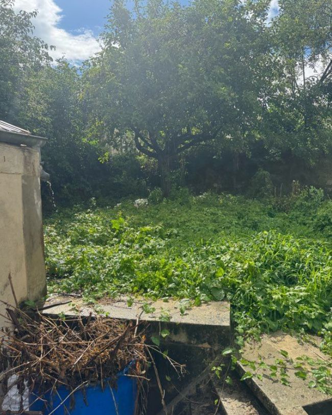 Image du modèle de maison annet sur marne 85000