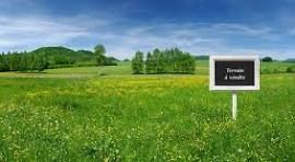 Image du terrain Terrain à bâtir de 1094 m² à SAINT-PIERRE-ROCHE (63)