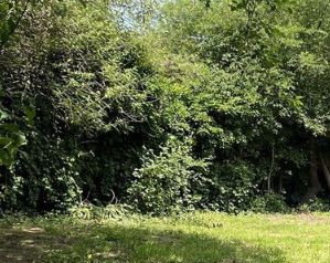 Image du terrain Terrain à bâtir de 1500 m² à IGE (71)