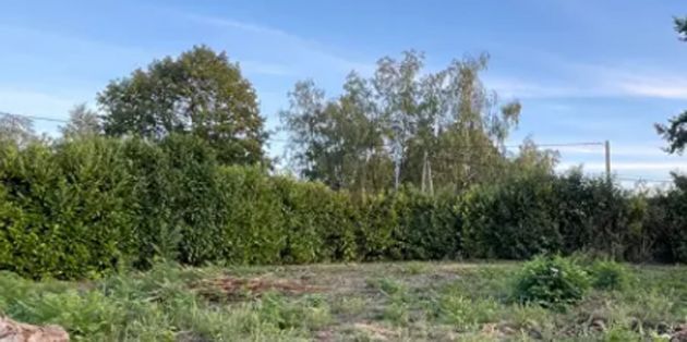 Image du terrain Terrain à bâtir de 900 m² à PRISSE (71)