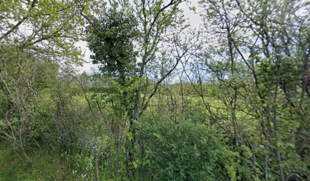 Image du modèle de maison Capture d'écran 2026-02-25 230751