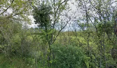 Image du modèle de maison Capture d'écran 2026-02-25 230751