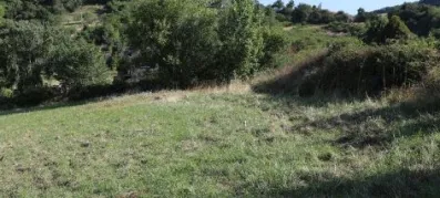 Image du modèle de maison Capture d'écran 2025-11-11 203633