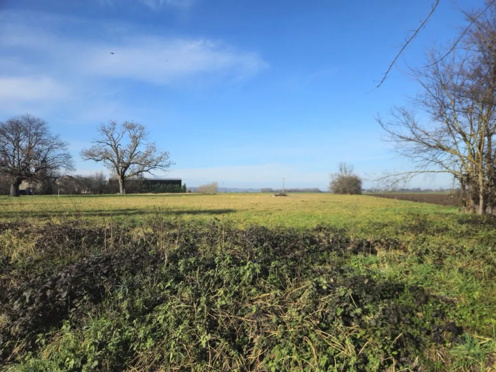 Image du modèle de maison Image from EEMO - Grande