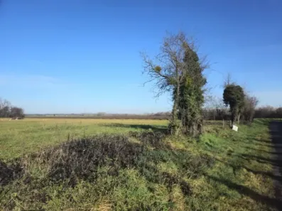 Image du modèle de maison Image EEMO (1) - Grande