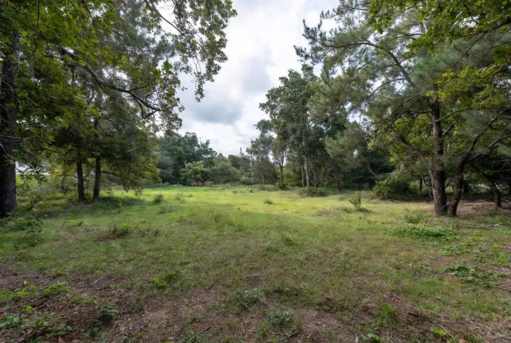 Image du terrain Terrain à bâtir de 659 m² à FEILLENS (01)