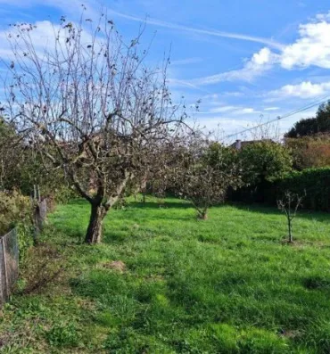 Image du modèle de maison Capture d'écran 2026-06-08 091854