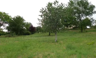 Image du modèle de maison Capture d'écran 2026-06-08 094253