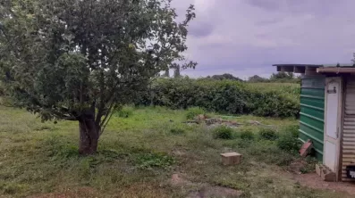 Image du modèle de maison 20220707_154816
